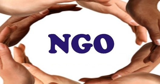 ngo ngo